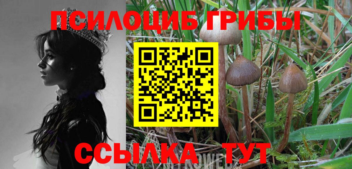 Галлюциногенные грибы мухоморы Рузаевка