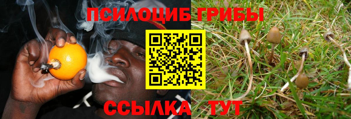 Рузаевка  Псилоцибиновые грибы мухоморы  Вход с VPN 